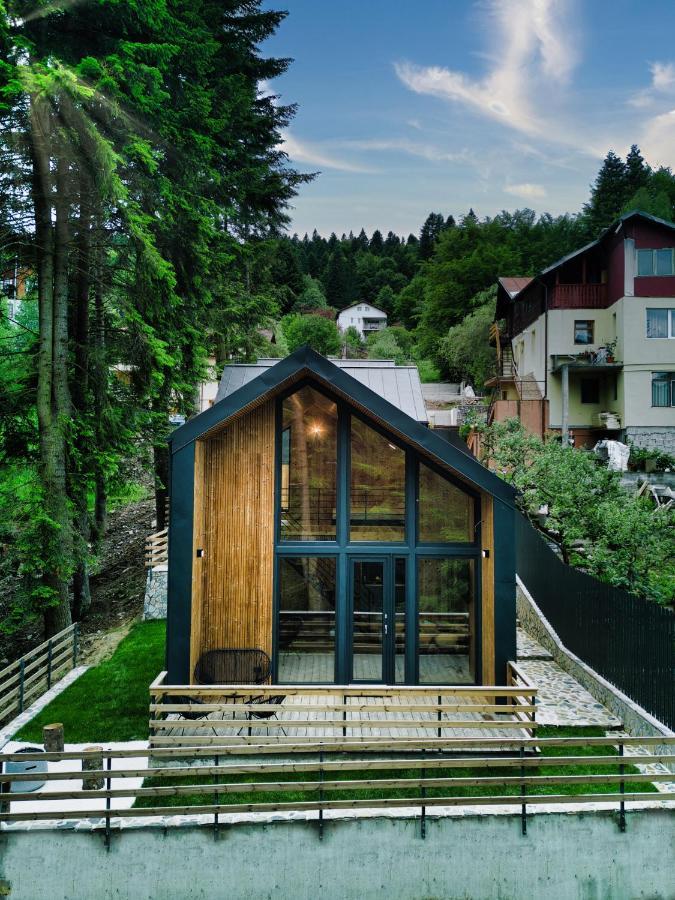 Norway Cabins ซินายา ภายนอก รูปภาพ
